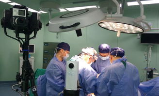 人人宴VR技術 足不出戶，身臨婚宴現場