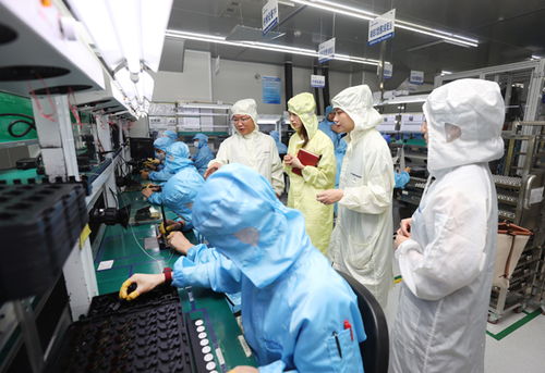 科技金融賦能新質(zhì)生產(chǎn)力 構(gòu)建生物科技研發(fā)的創(chuàng)新技術(shù)流與評價體系